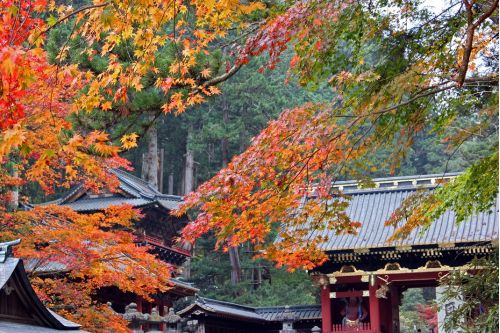 Templos de Nikko