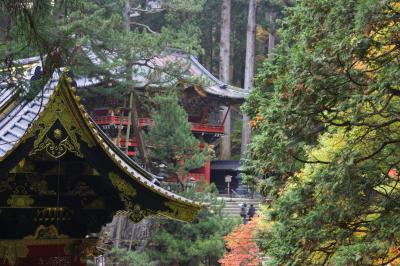 Viaje Vuelta al Mundo: Momiji (Otoo) en Nikko.