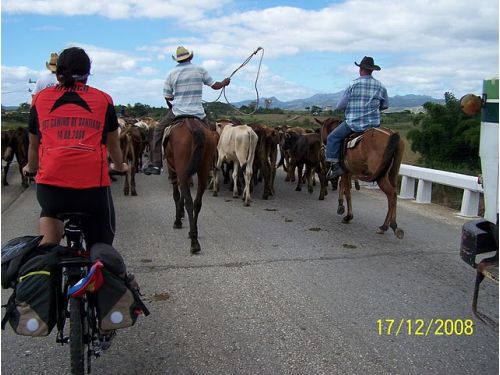 Cruce de caminos