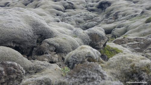 Islandia (5)