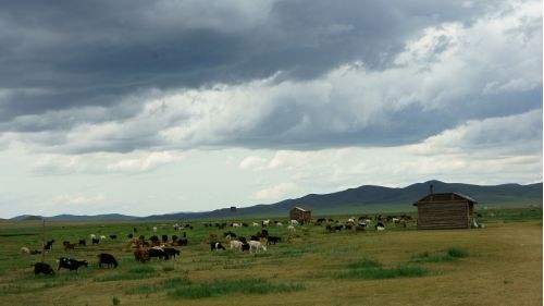 Mongolia (9)