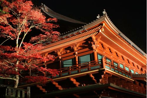 Nikko 2.12am