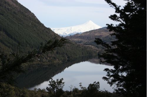 Pucn, Chile