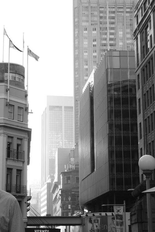 Sydney City