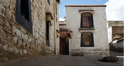 Tibet (6)