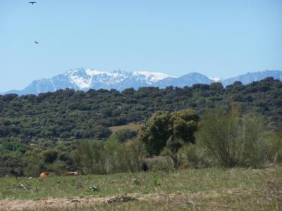 Tras la huella de Viriato... Tras la huella de Viriato...