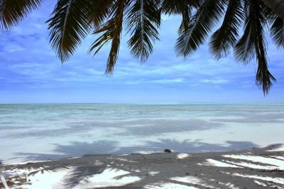 Viaje Vuelta al Mundo: Moorea, la isla de la Felicidad. Viaje Vuelta al Mundo: Moorea, la isla de la Felicidad.