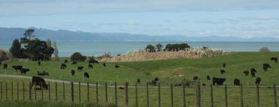 Viaje Vuelta al Mundo: Parques Nacionales de NZ. Viaje Vuelta al Mundo: Parques Nacionales de NZ.