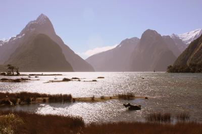 Viaje Vuelta al Mundo: Milford Sound. Viaje Vuelta al Mundo: Milford Sound.
