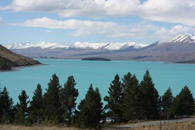 Viaje Vuelta al Mundo: Nueva Zelanda por la costa Este. Viaje Vuelta al Mundo: Nueva Zelanda por la costa Este.