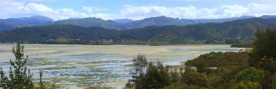 Viaje Vuelta al Mundo: Parque Nacional Abel Tasman: Ruta por la costa.
