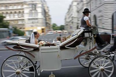 El amor de Viena El amor de Viena