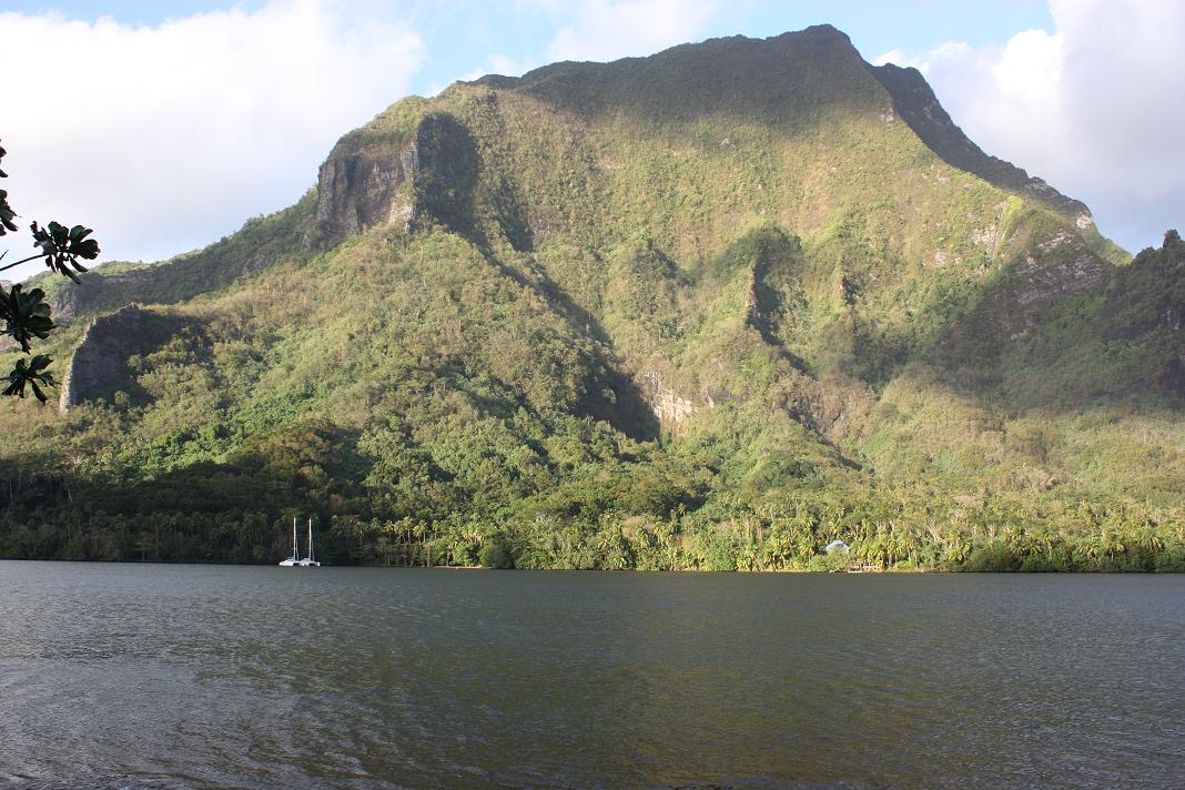 bahia bahia