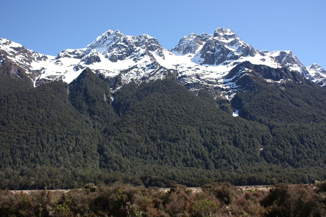 paisaje I paisaje I