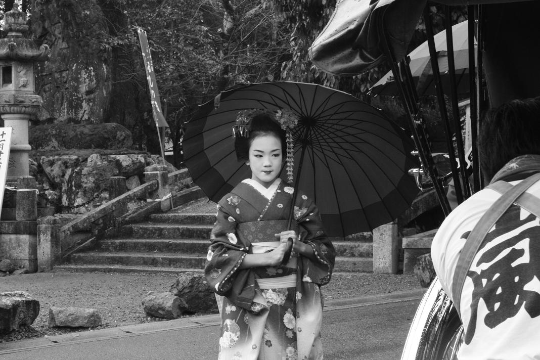 geisha geisha
