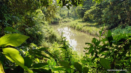 junglechitwan Viajamundeando